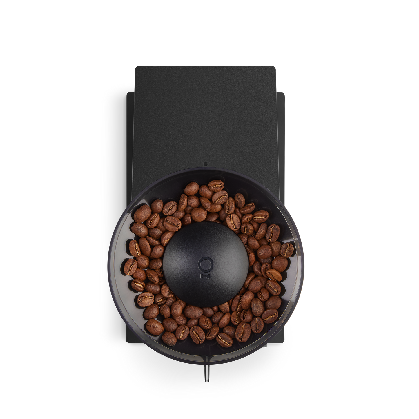 Fellow Opus Conical Burr Grinder 220v