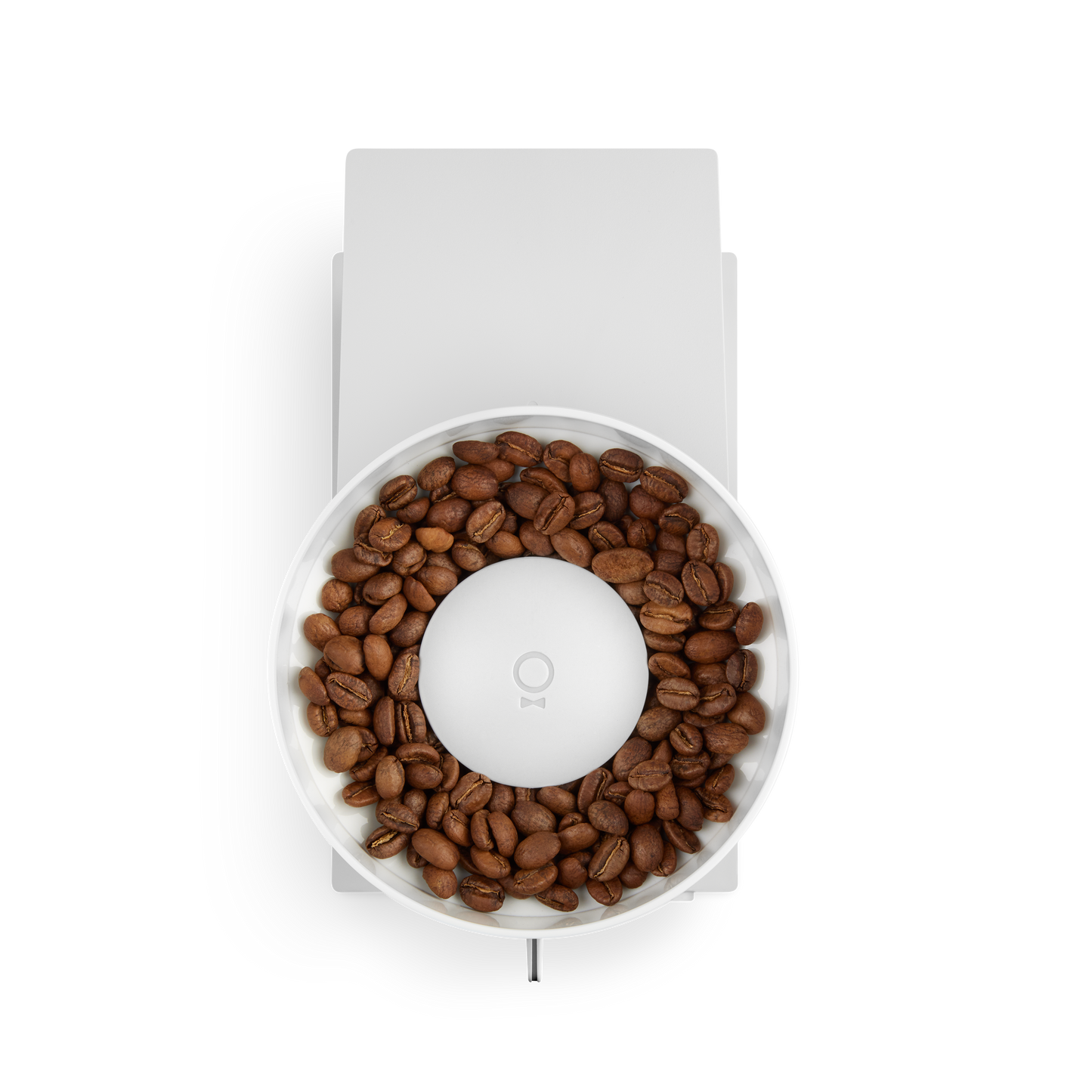 Fellow Opus Conical Burr Grinder 220v