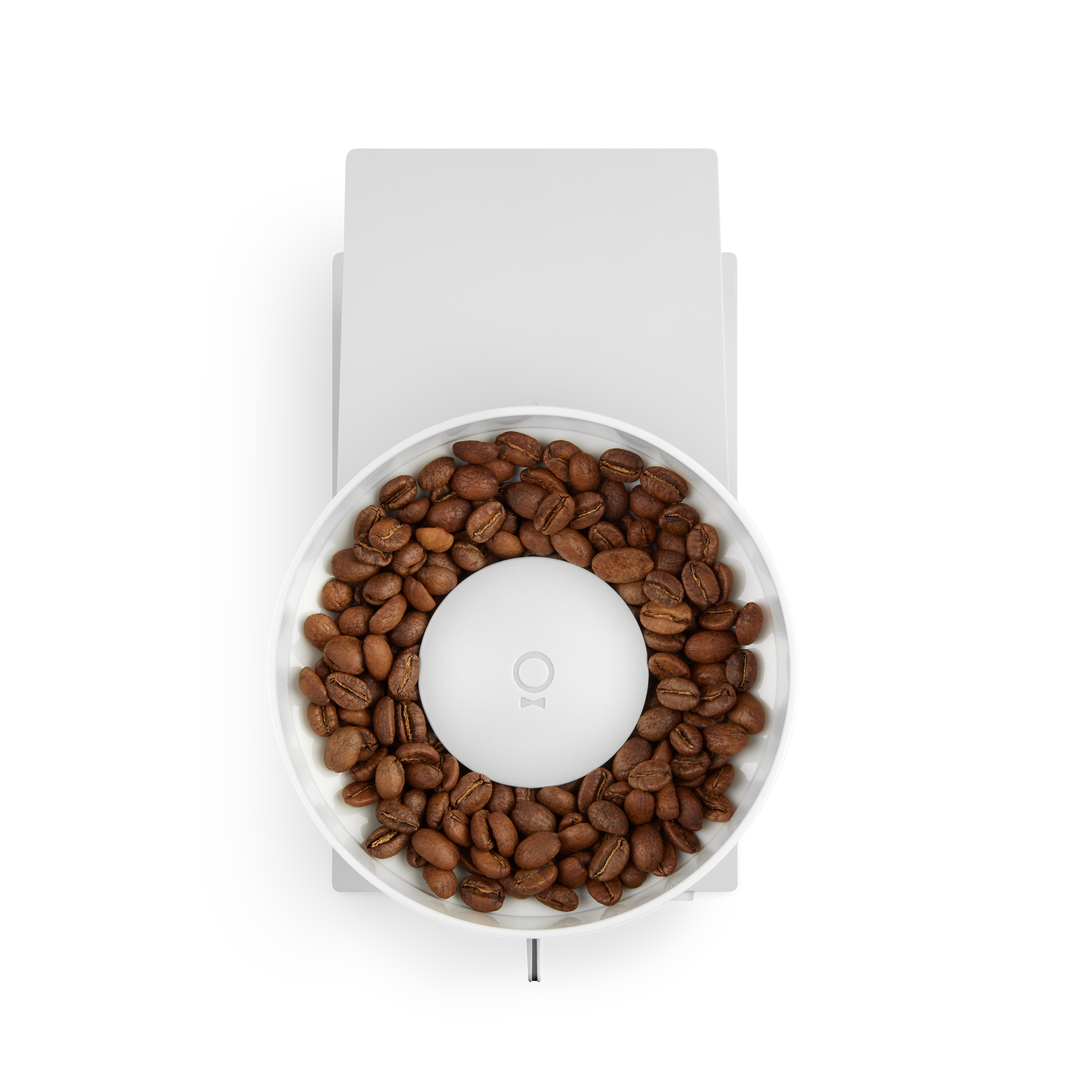 Fellow Opus Conical Burr Grinder 220v