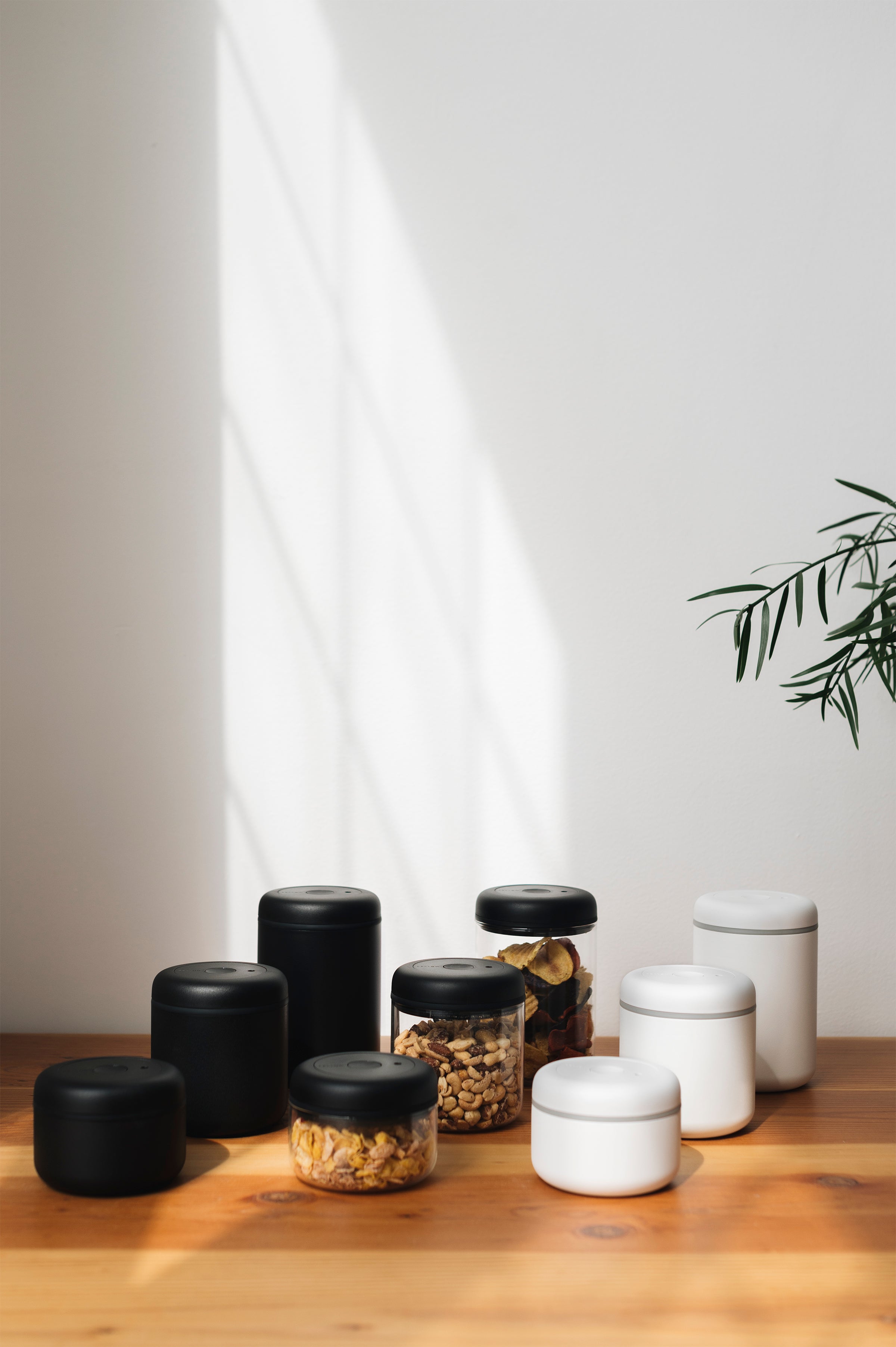 Fellow Atmos Vacuum Canister