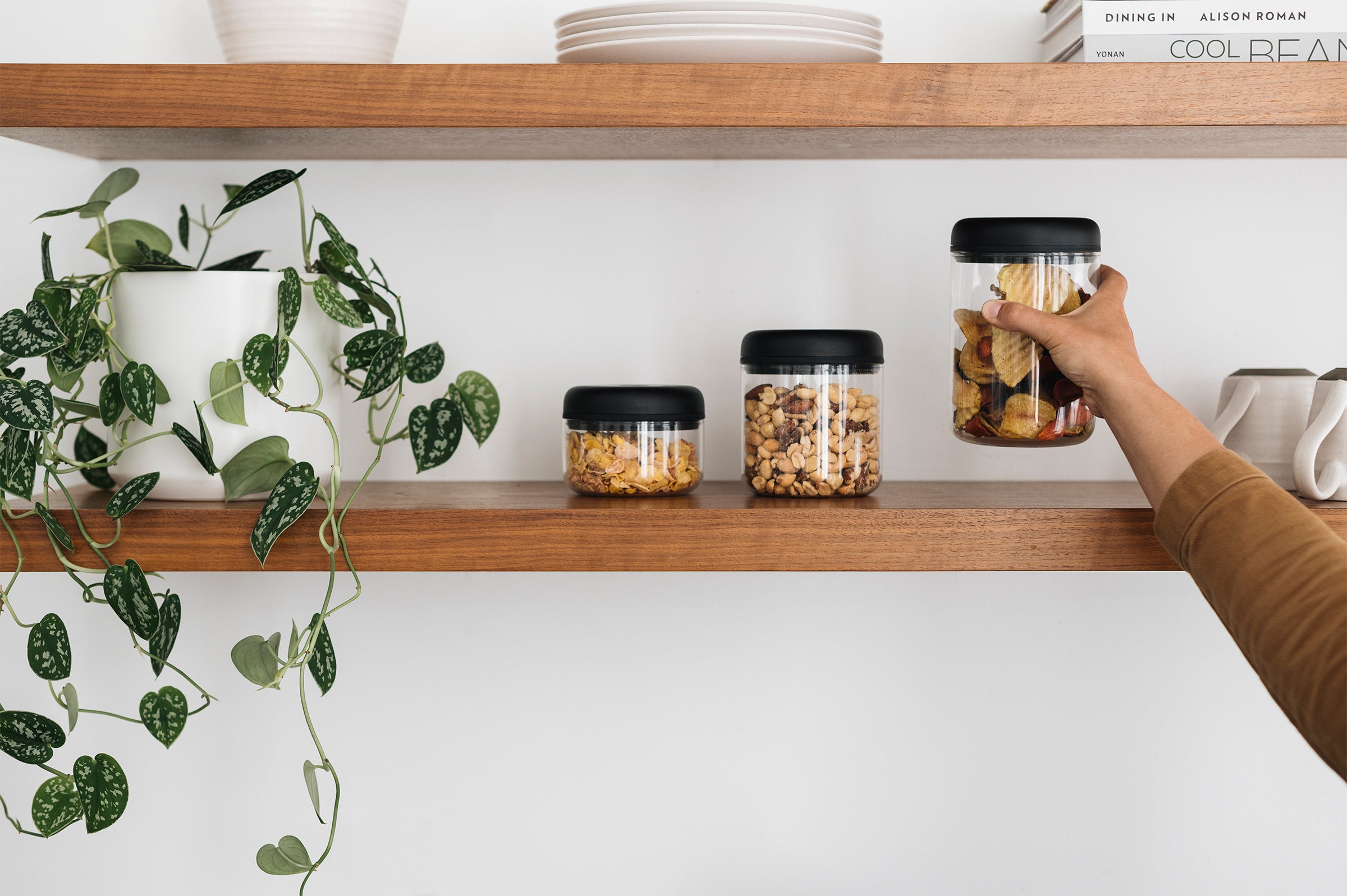 Fellow Atmos Vacuum Canister